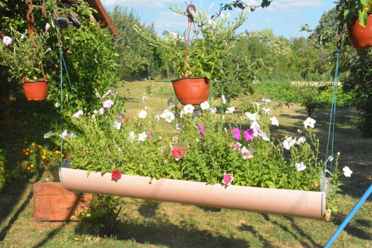 Maison d'hôtes Gazdinstvo Tadic à Nikšić Extérieur photo
