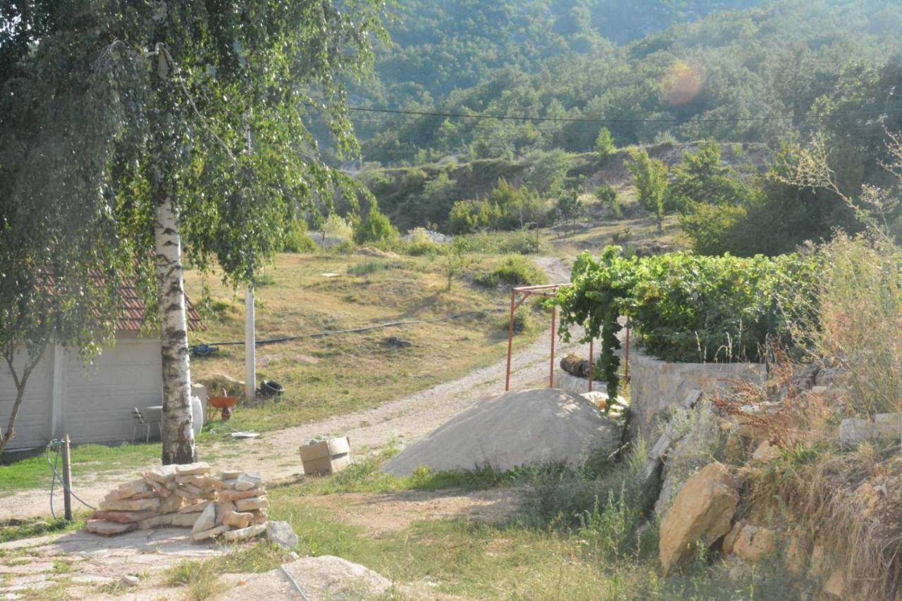 Maison d'hôtes Gazdinstvo Tadic à Nikšić Extérieur photo