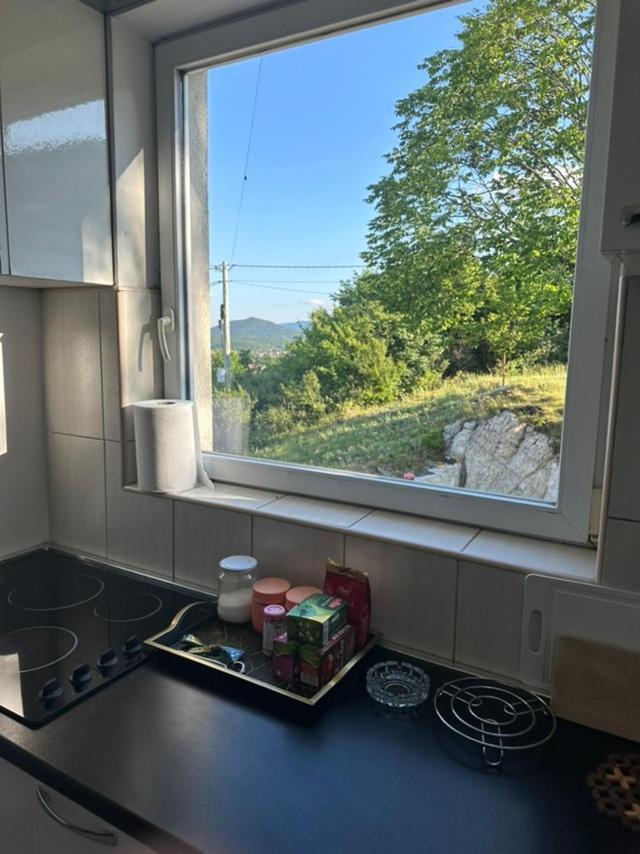 Maison d'hôtes Gazdinstvo Tadic à Nikšić Extérieur photo